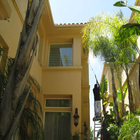 House Pressure Washing 